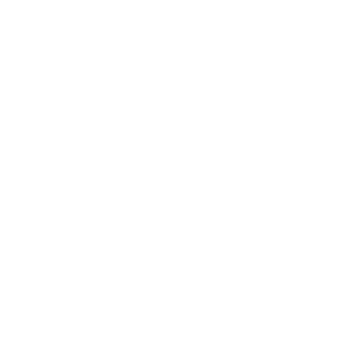 Client-Centric Approach Icon