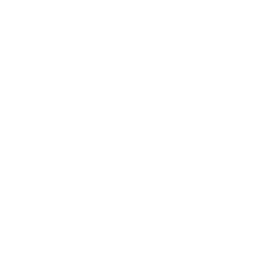 Integrity & Trust Icon